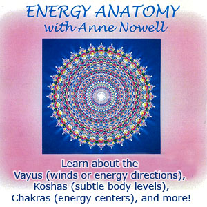 energy-anatomy Energy Anatomy Workshop